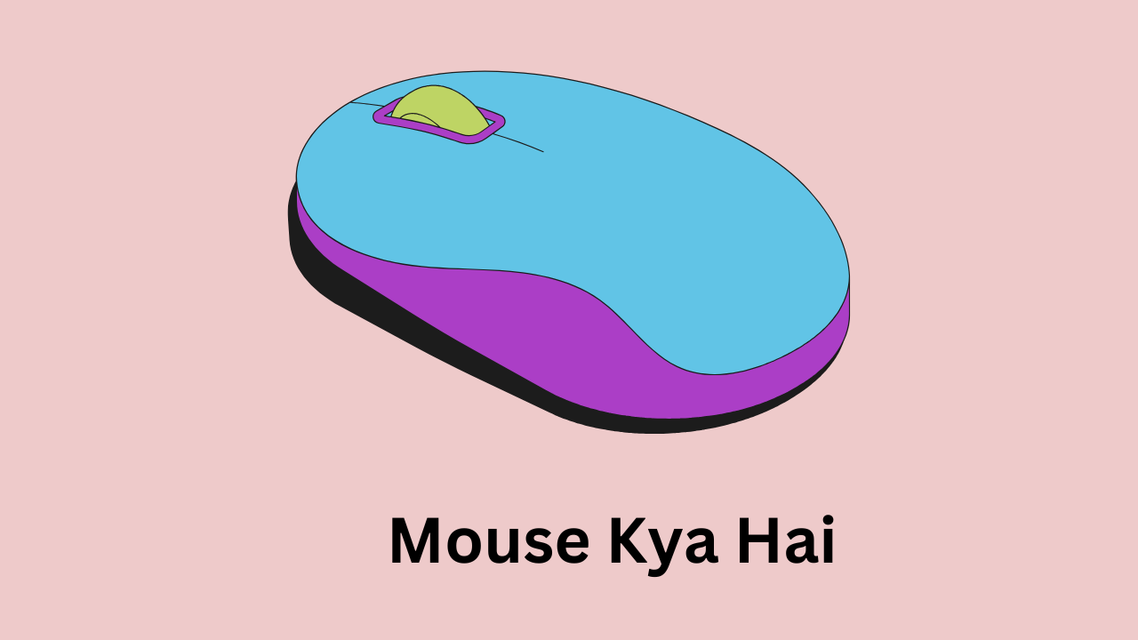 Mouse Kya Hai